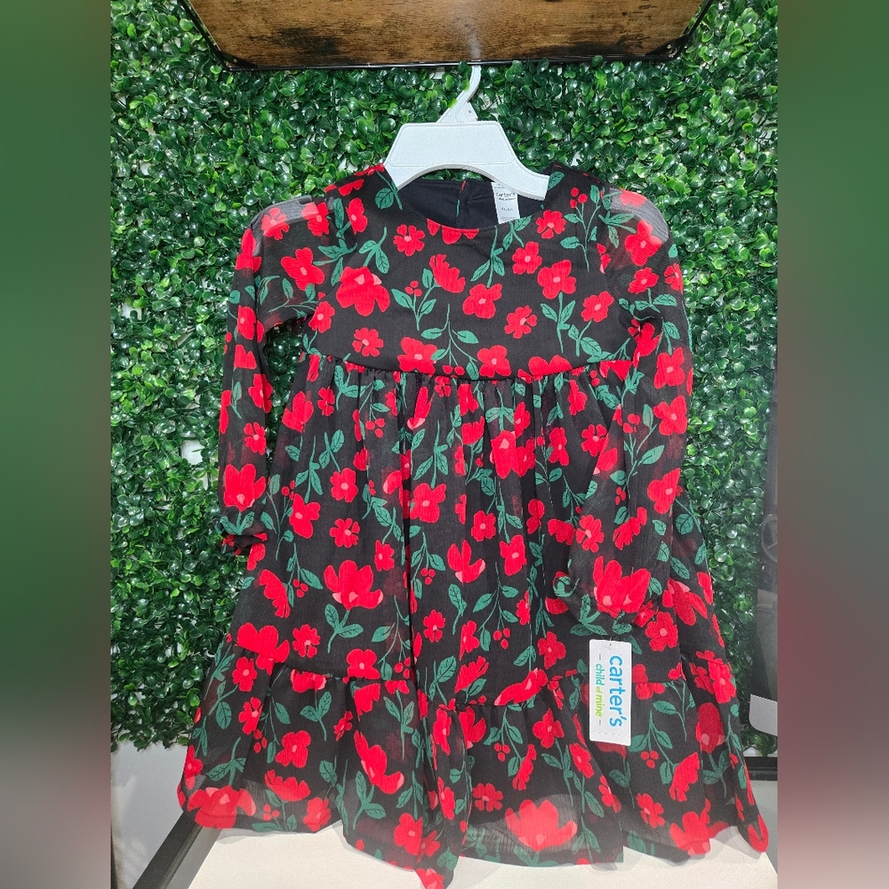 Carter's‎ Black Dress with Red Floral Design